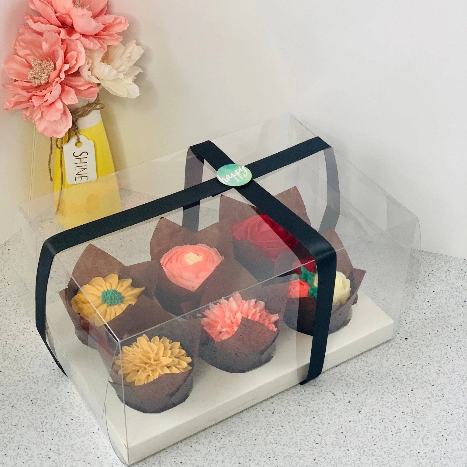 Clear Cupcake & Muffin boxes with 6 holes - Cupcake6 Cupcake boxes