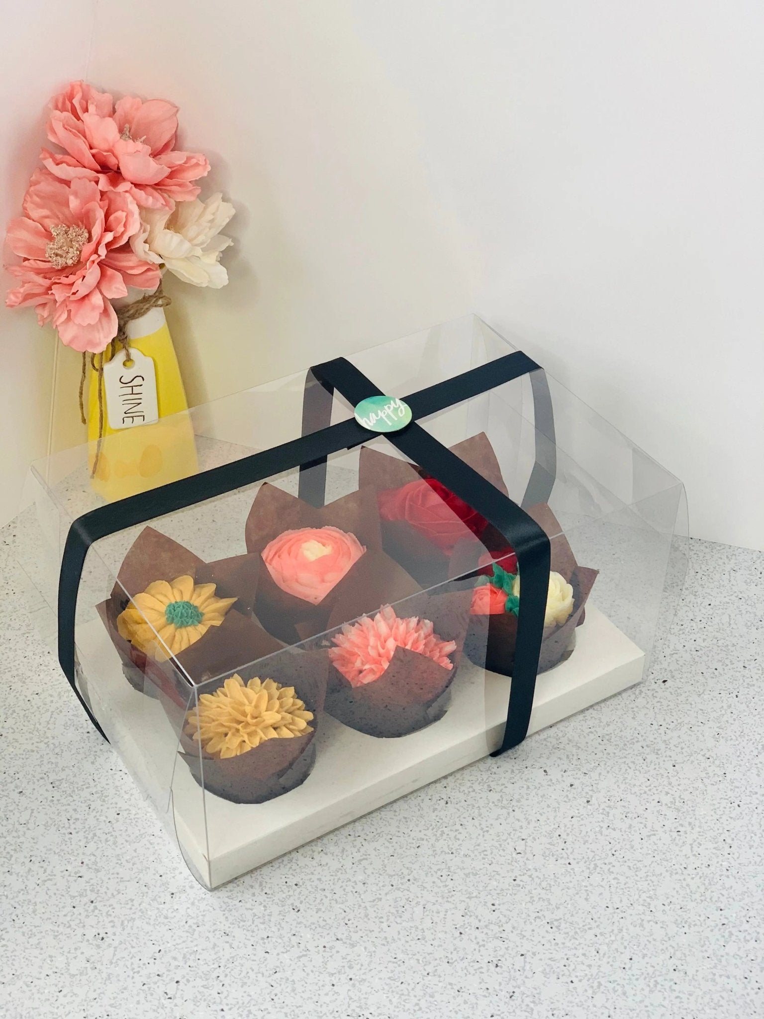 Clear Cupcake & Muffin boxes with 6 holes - Cupcake6 Cupcake boxes