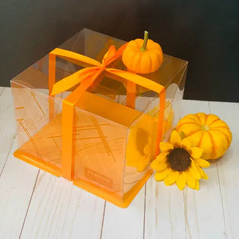 orange 8 Inch Square Clear Cake Box
