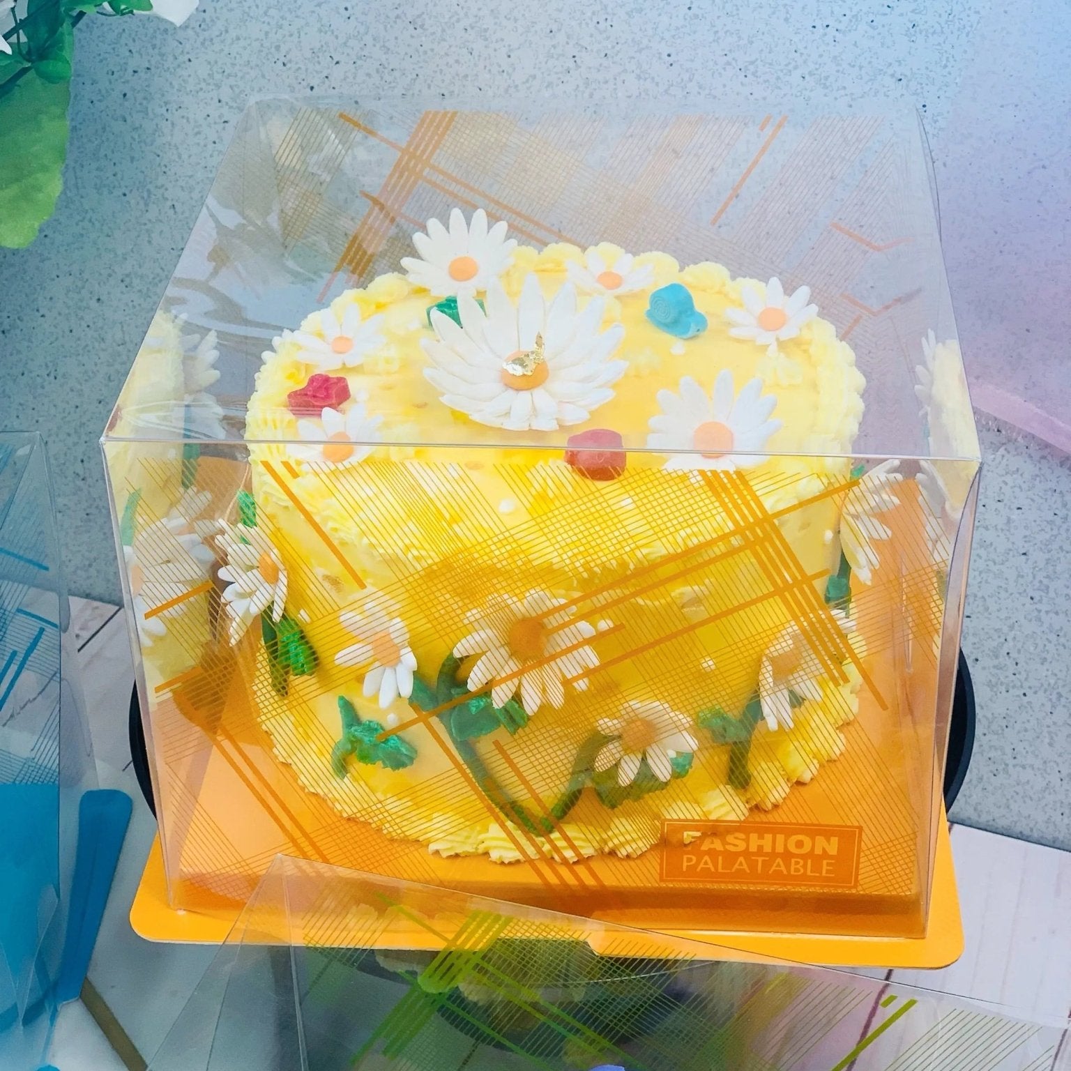 Orange 8 Inch Square Clear Cake Box