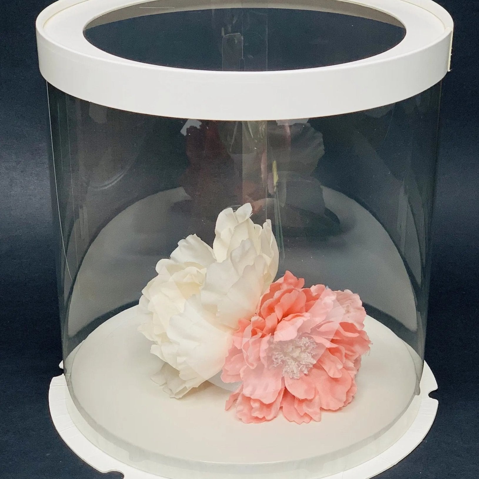 Extra Tall Round Clear Cake Box - 10" D x 17.5" H - Clear Cake Boxes for Tall Tiered Cakes - RW10175 Round cake box