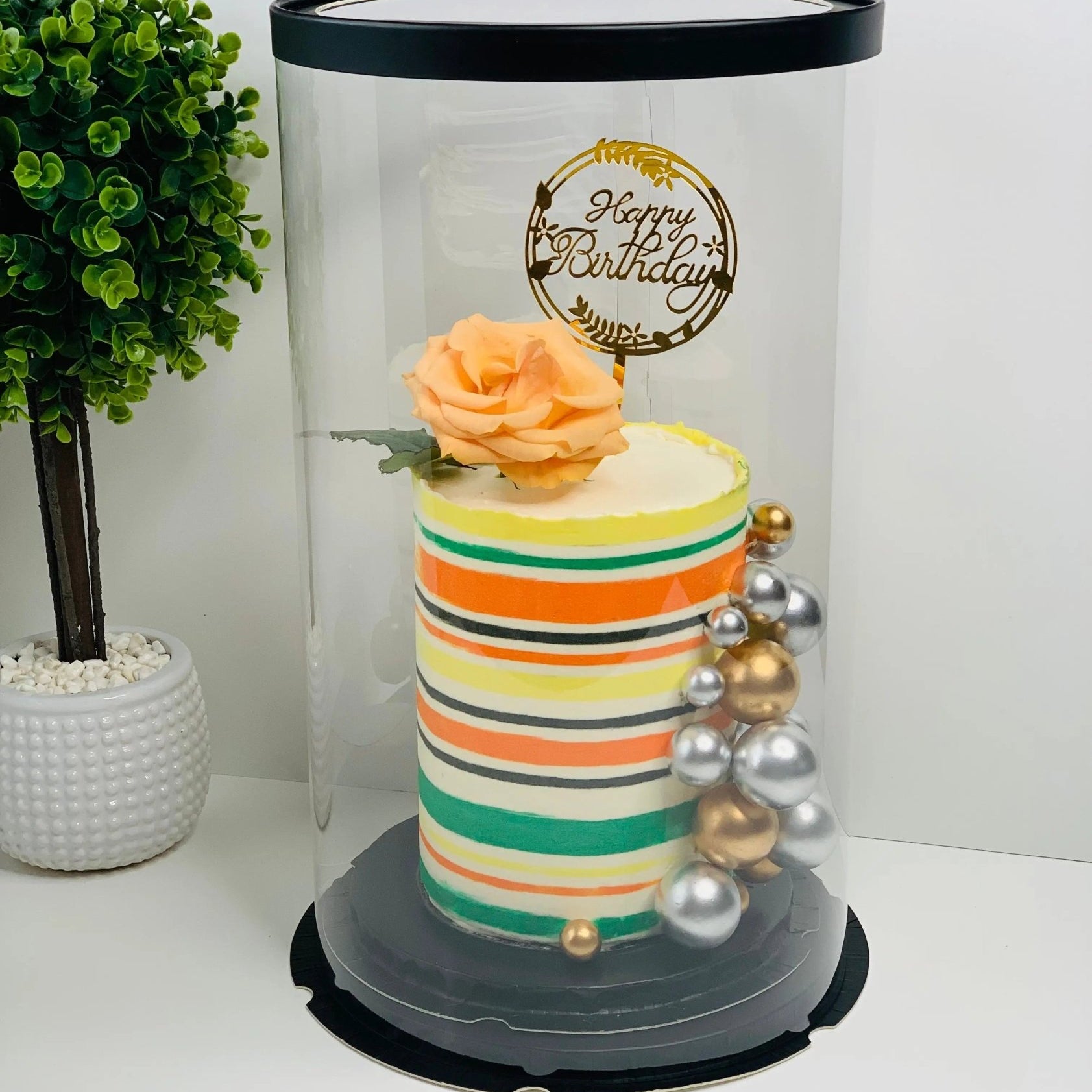 Extra Tall Round Clear Cake Box - 10" D x 17.5" H - Clear Cake Boxes for Tall Tiered Cakes - RW10175 Round cake box