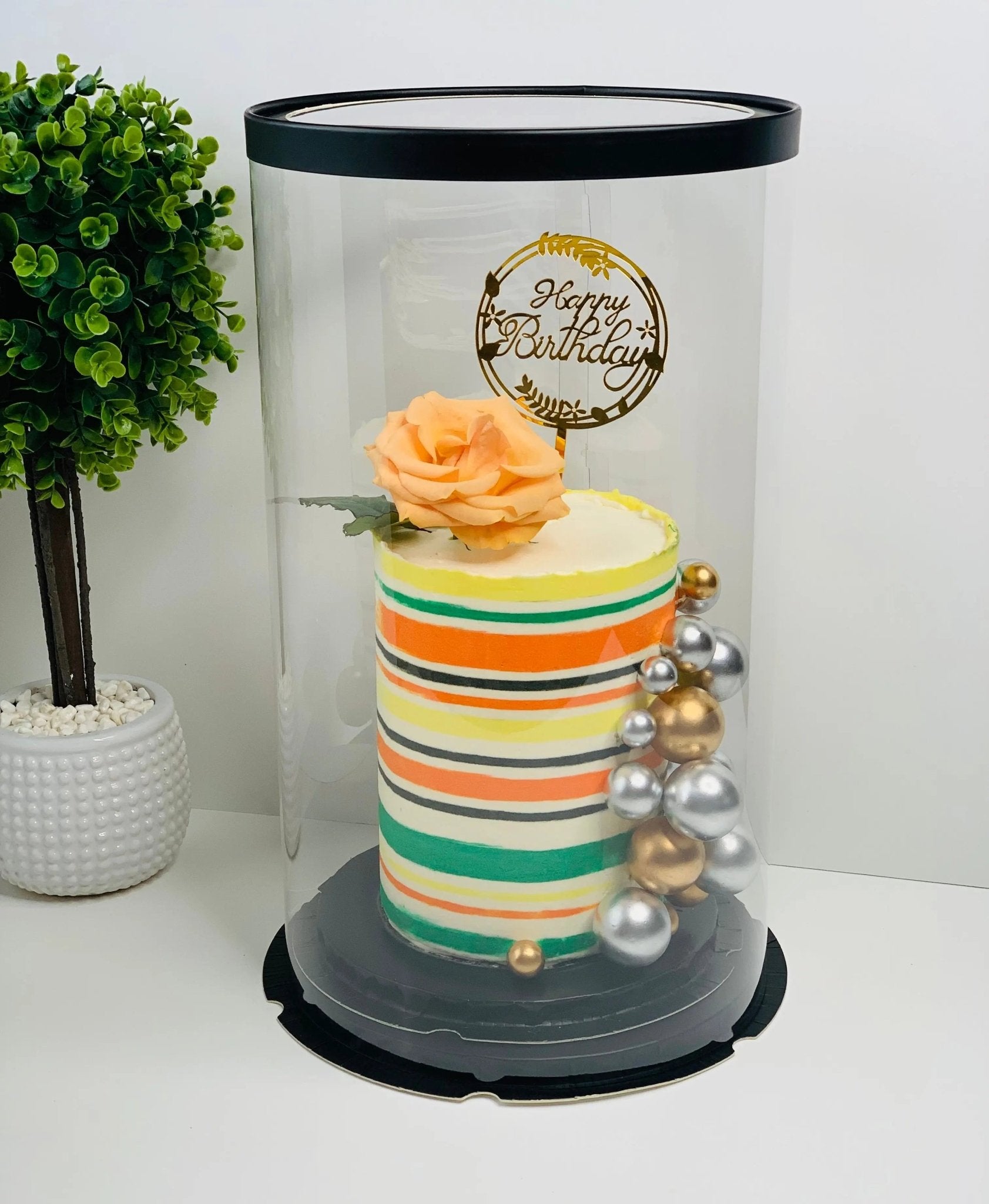 Extra Tall Round Clear Cake Box - 10" D x 17.5" H - Clear Cake Boxes for Tall Tiered Cakes - RW10175 Round cake box