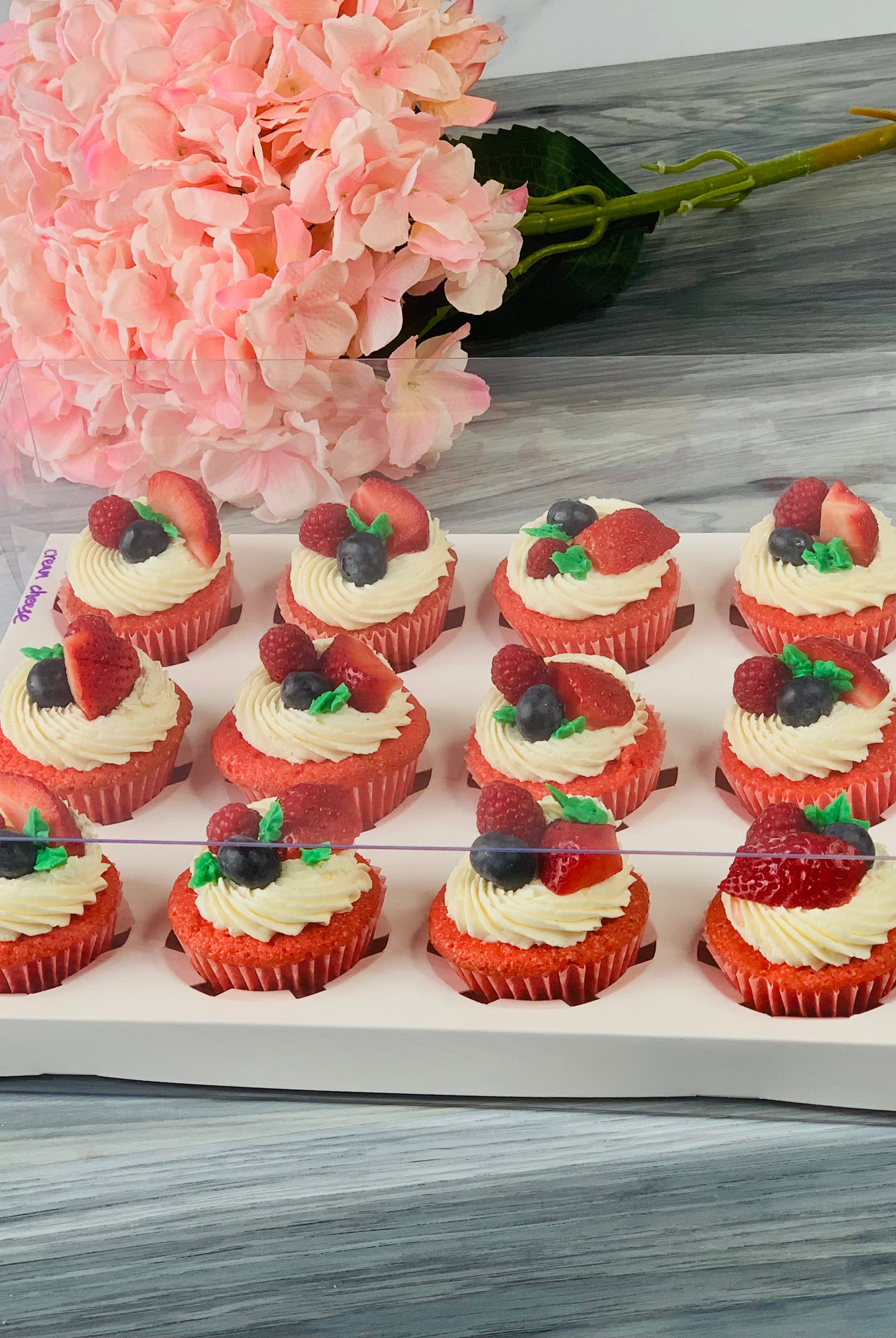Clear Cupcake & Muffin boxes with 12 holes