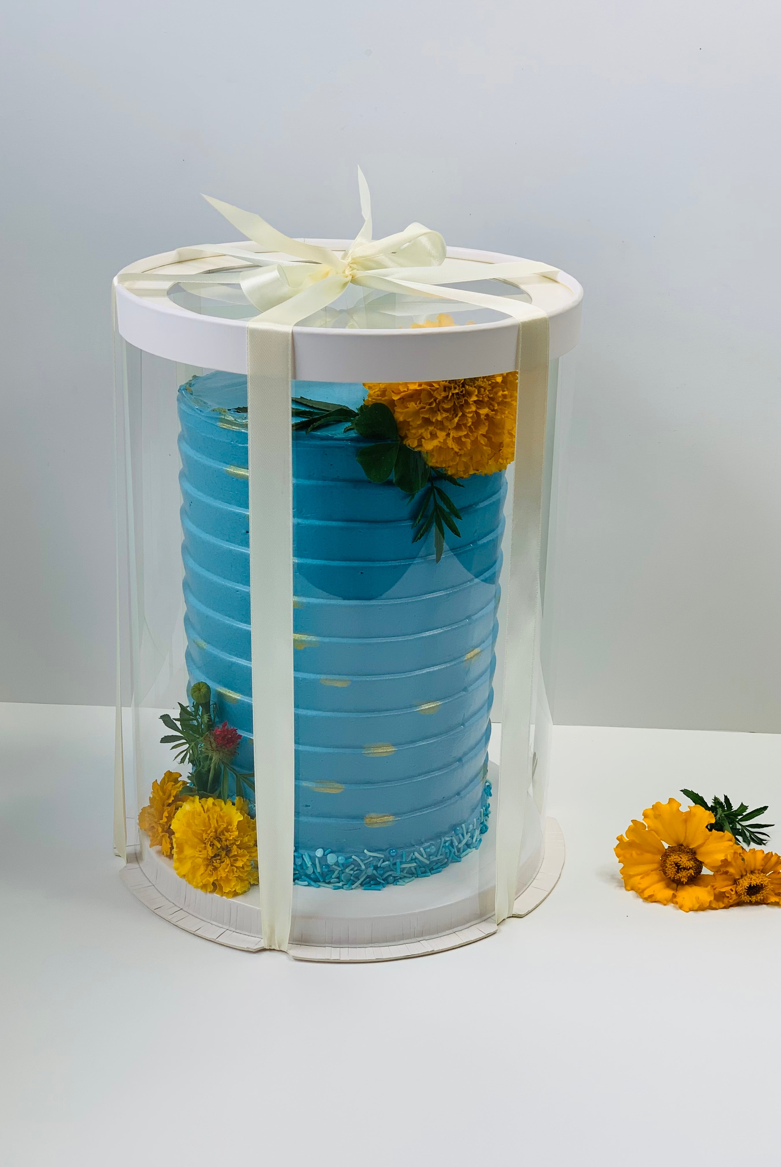 Tall Clear Round Cake Box 8.5" Diameter x 11.75"