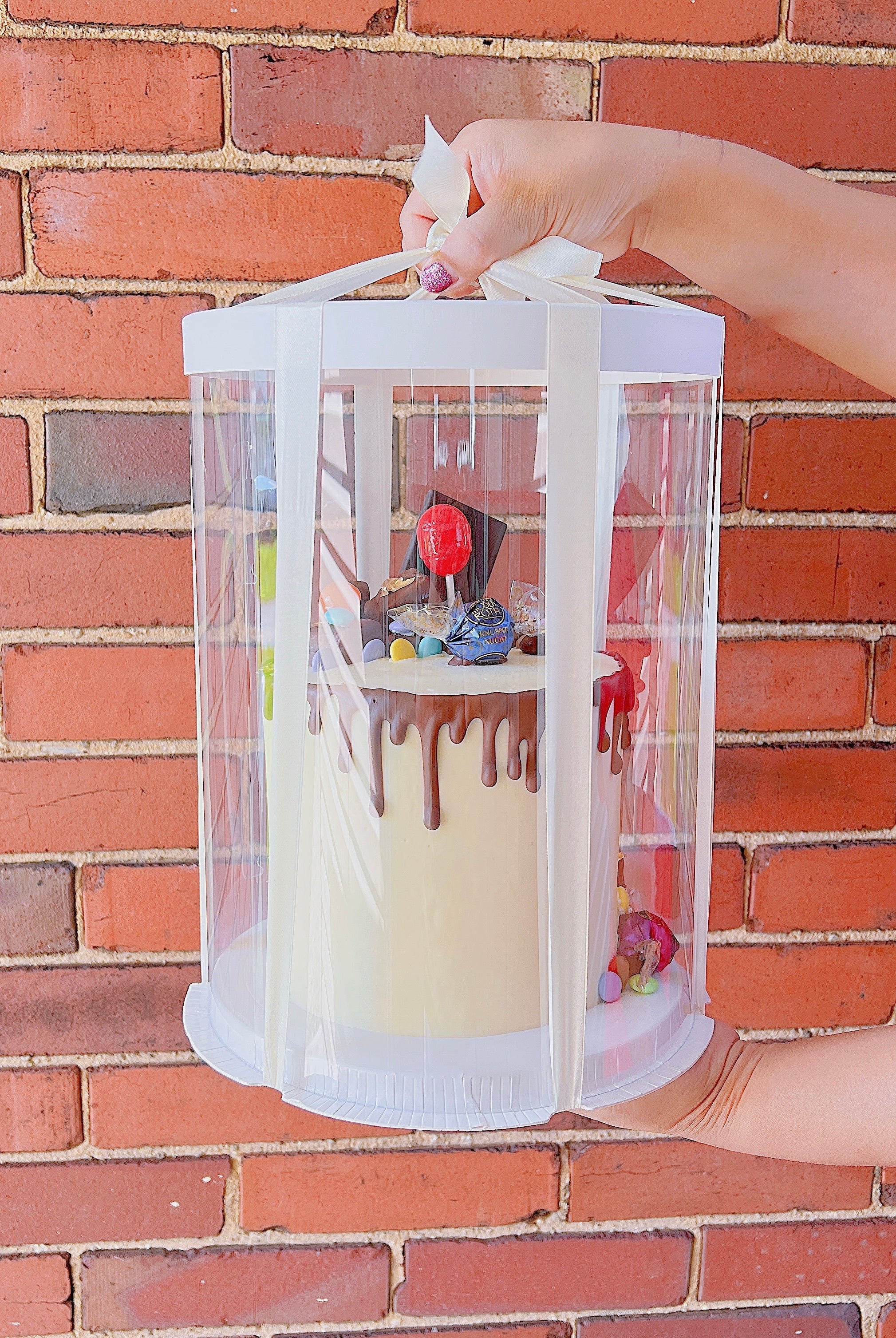 Tall Round  Clear Cake Box