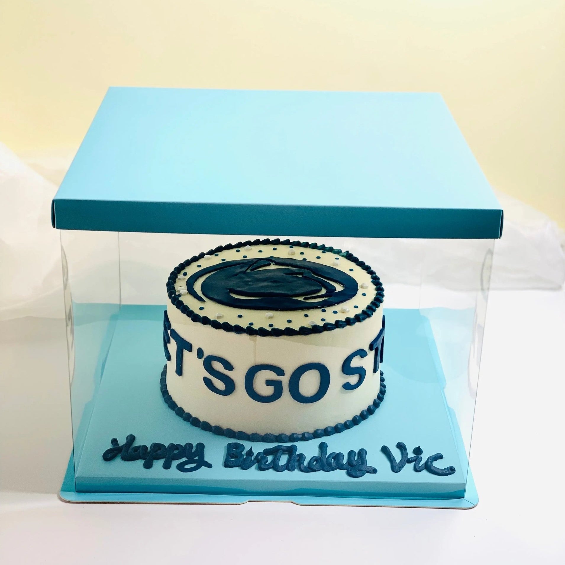 Large Clear Cake Boxes