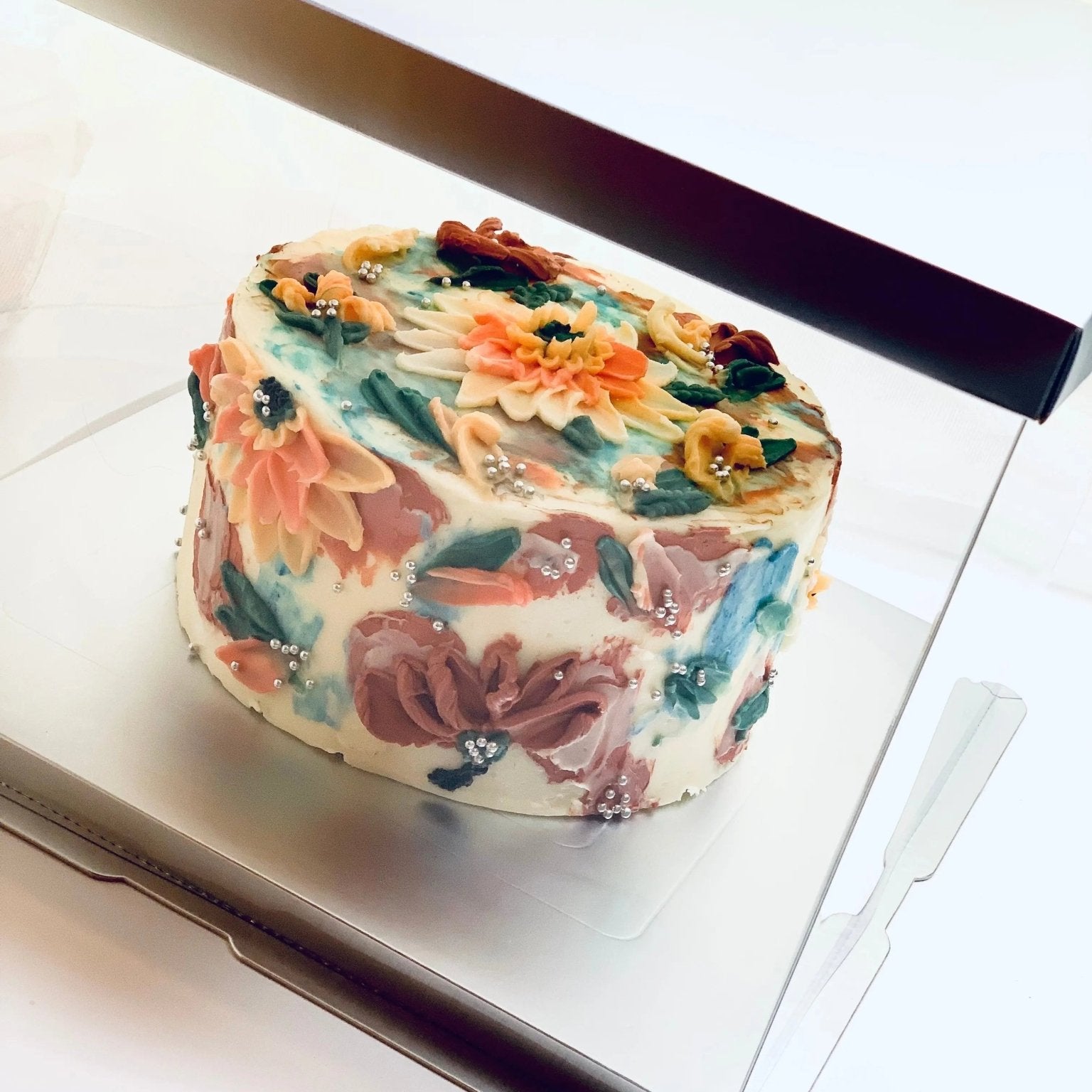 Large Clear Cake Boxes