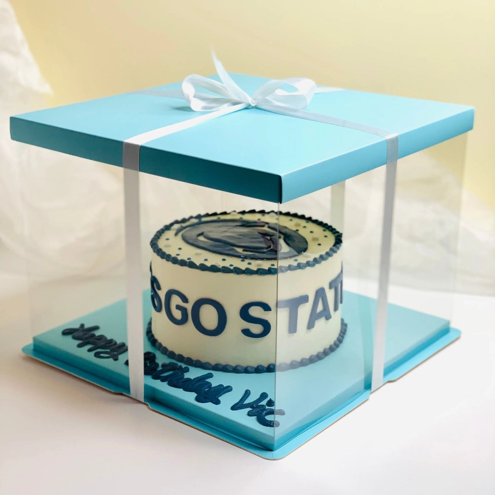 Large Clear Cake Boxes