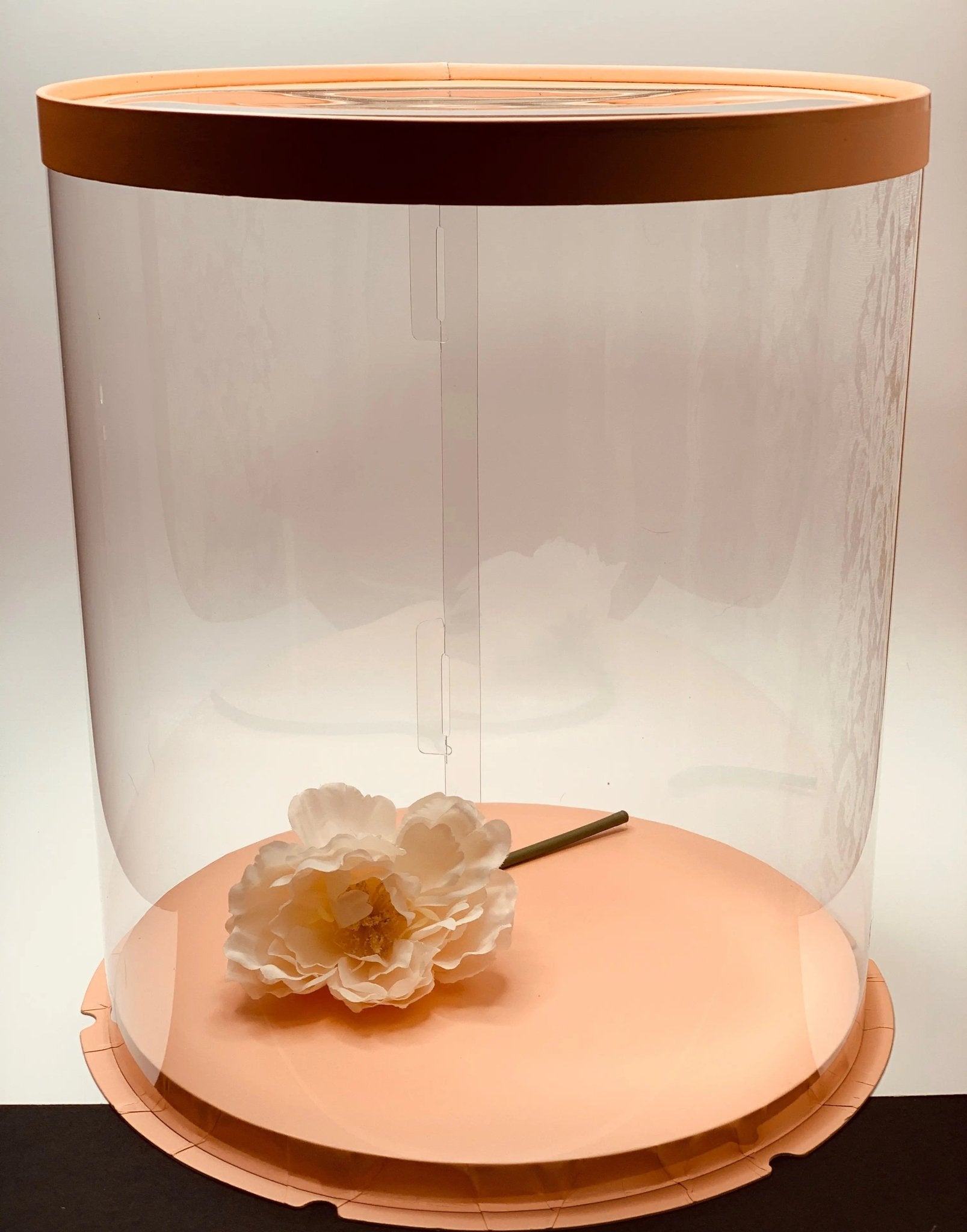 Large Round Tall Clear Cake Box - 12" D x 13.5" H - RB12135 Round cake box