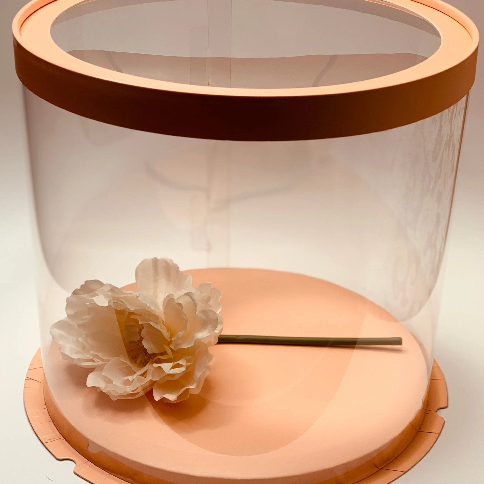 Round Clear Cake Box - 10" D by 9.5" Tall - Clear Cake Boxes with Window - Clear Gift Box - Round cake box