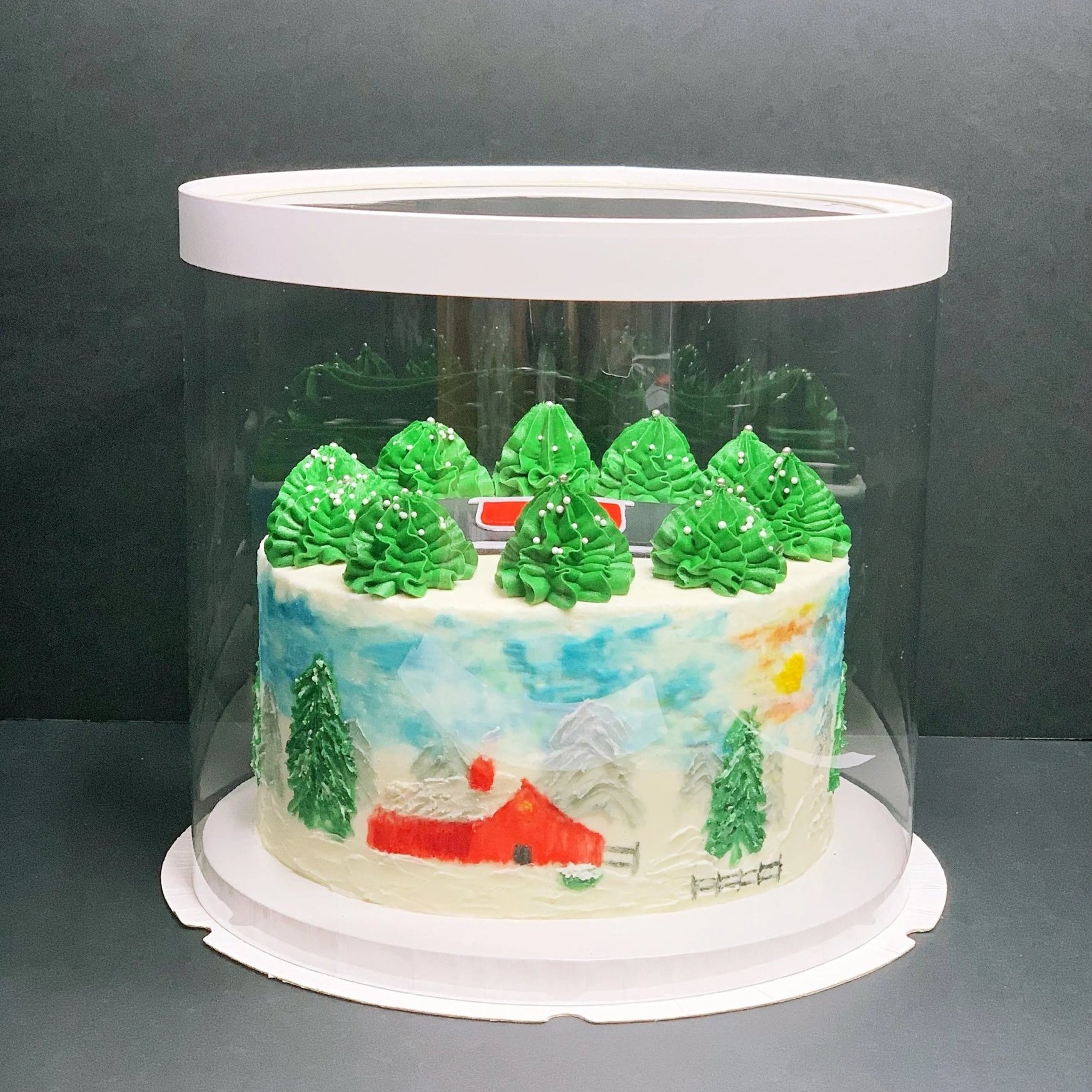 Round Clear Cake Box - 10" D by 9.5" Tall - Clear Cake Boxes with Window - Clear Gift Box - Round cake box