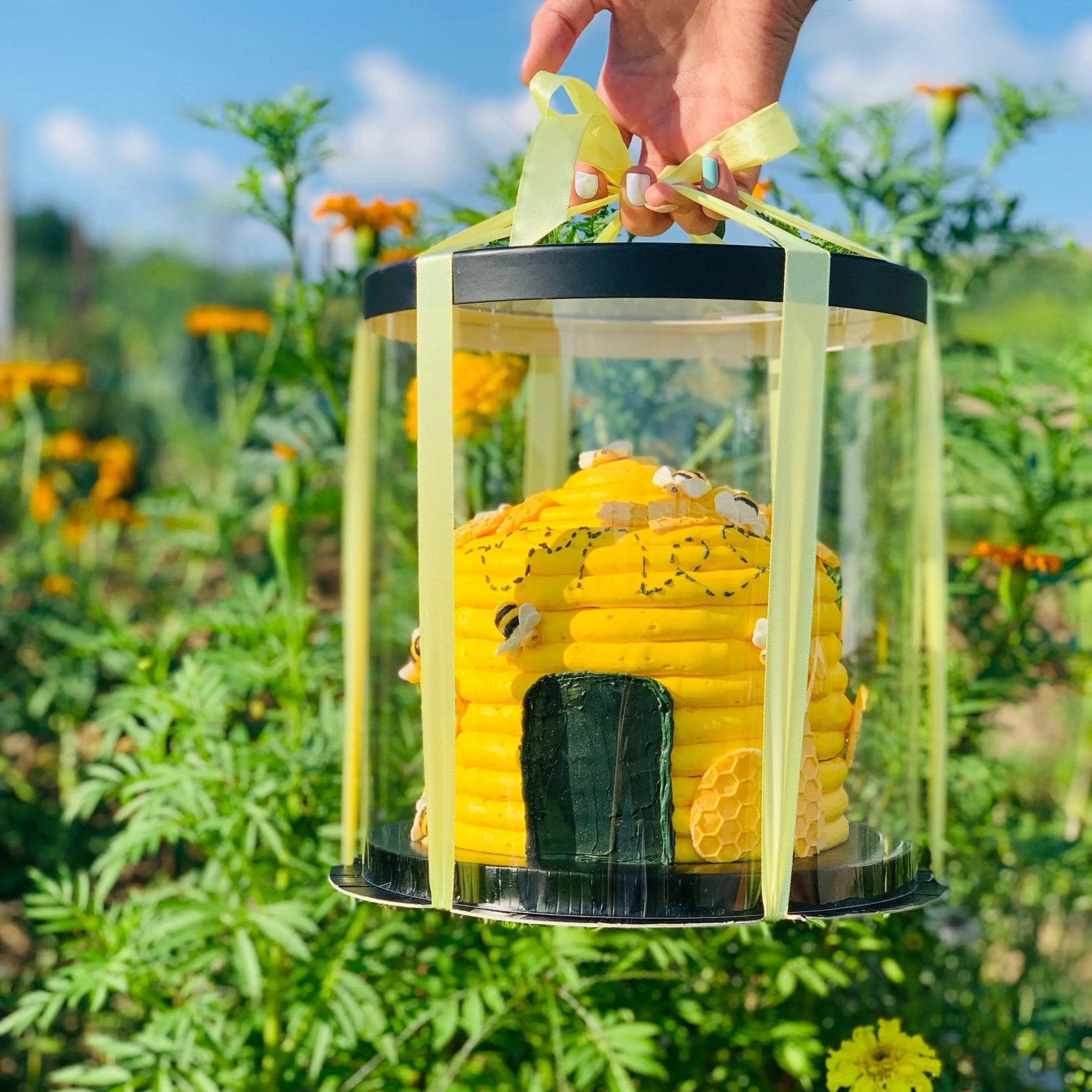 Round Clear Cake Box - 8.5" D by 9" Tall - Transparent Cake Boxes - Clear Gift Box - RB859 Round cake box