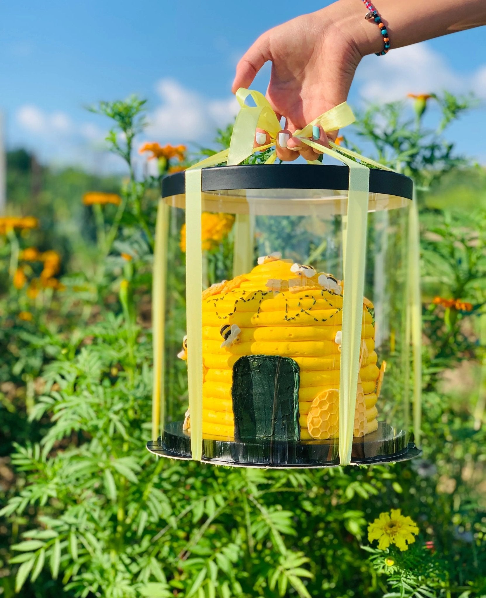 Round Clear Cake Box - 8.5" D by 9" Tall - Transparent Cake Boxes - Clear Gift Box - RB859 Round cake box