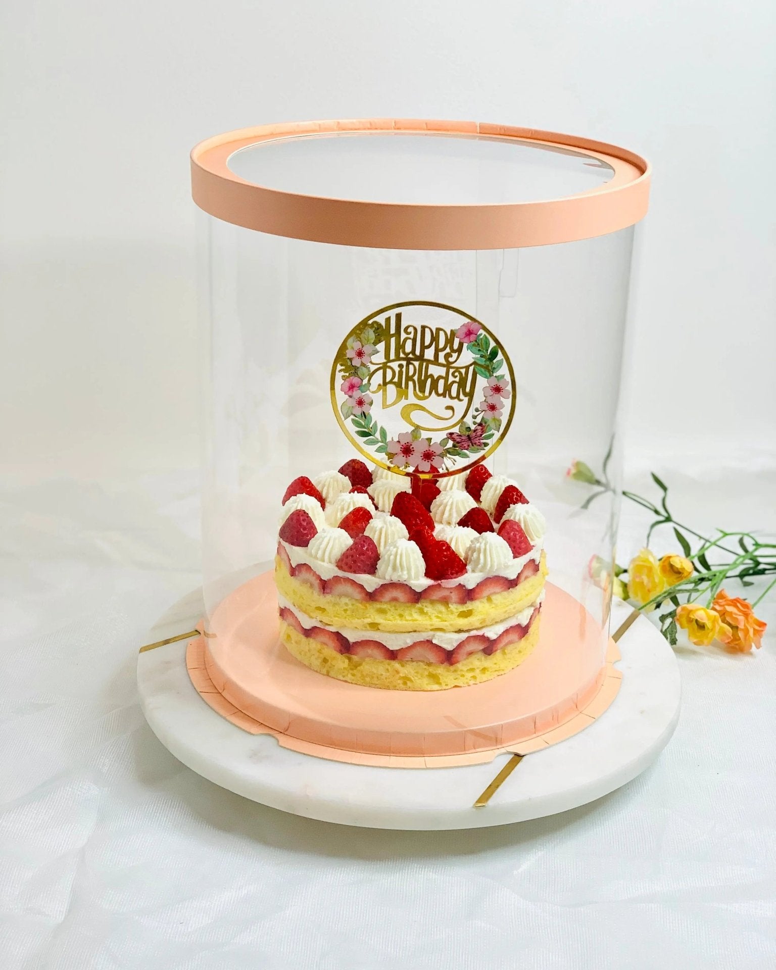 Tall Clear Cake Box 8.5" D x 11.75" H - Transparent Cake Boxes with Window - RB851175 Round cake box