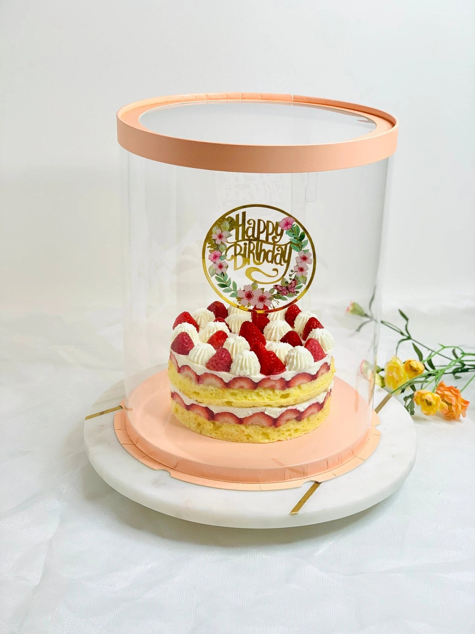 Tall Clear Cake Box 8.5" D x 11.75" H - Transparent Cake Boxes with Window - RB851175 Round cake box