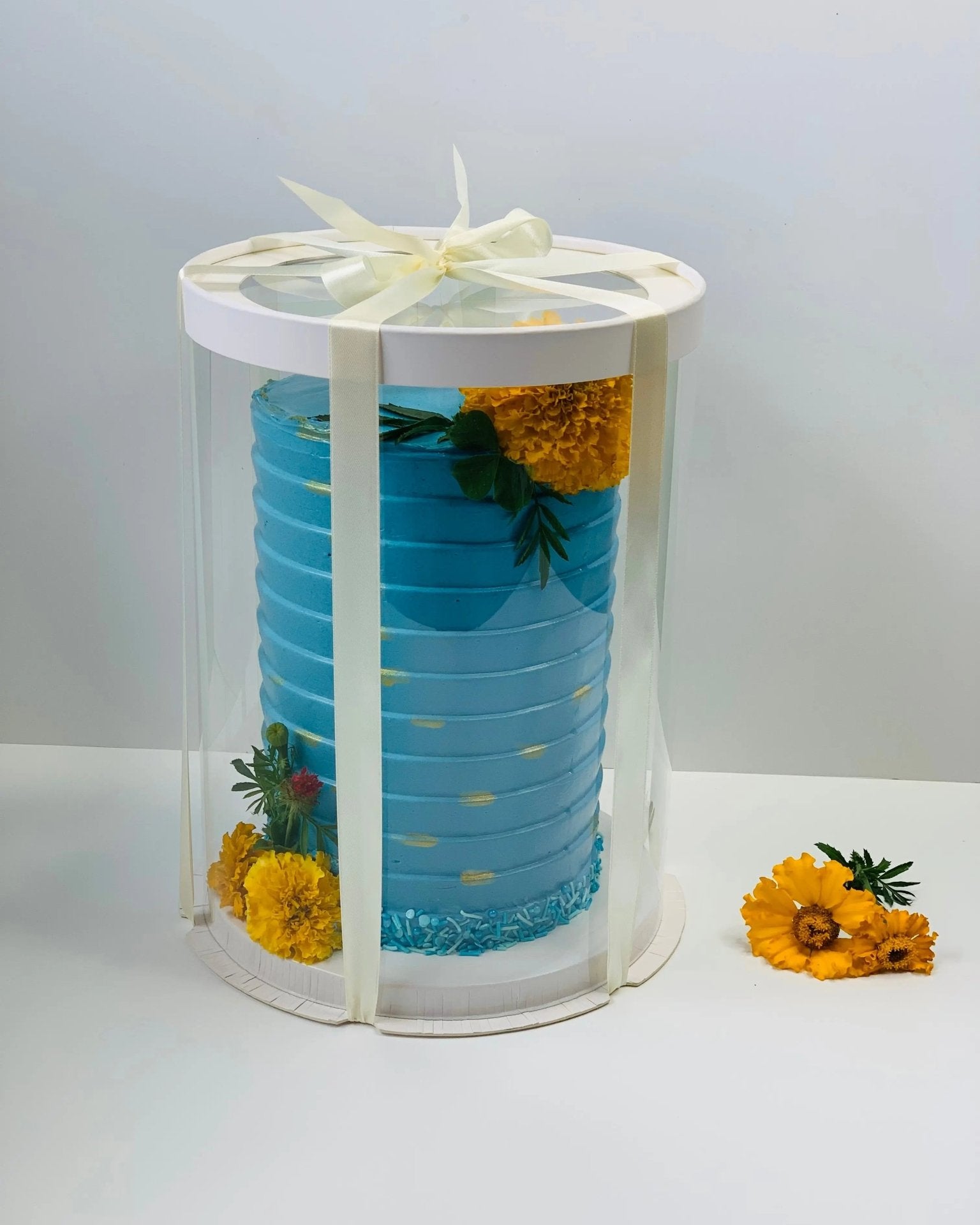 Tall Clear Cake Box 8.5" D x 11.75" H - Transparent Cake Boxes with Window - RW851175Sweet Degrees Kitchen