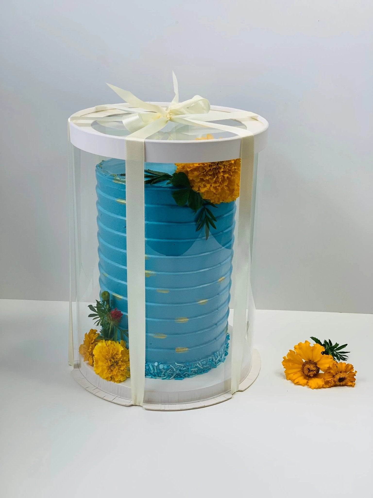 Tall Clear Cake Box 8.5" D x 11.75" H - Transparent Cake Boxes with Window - RW851175 Round cake box