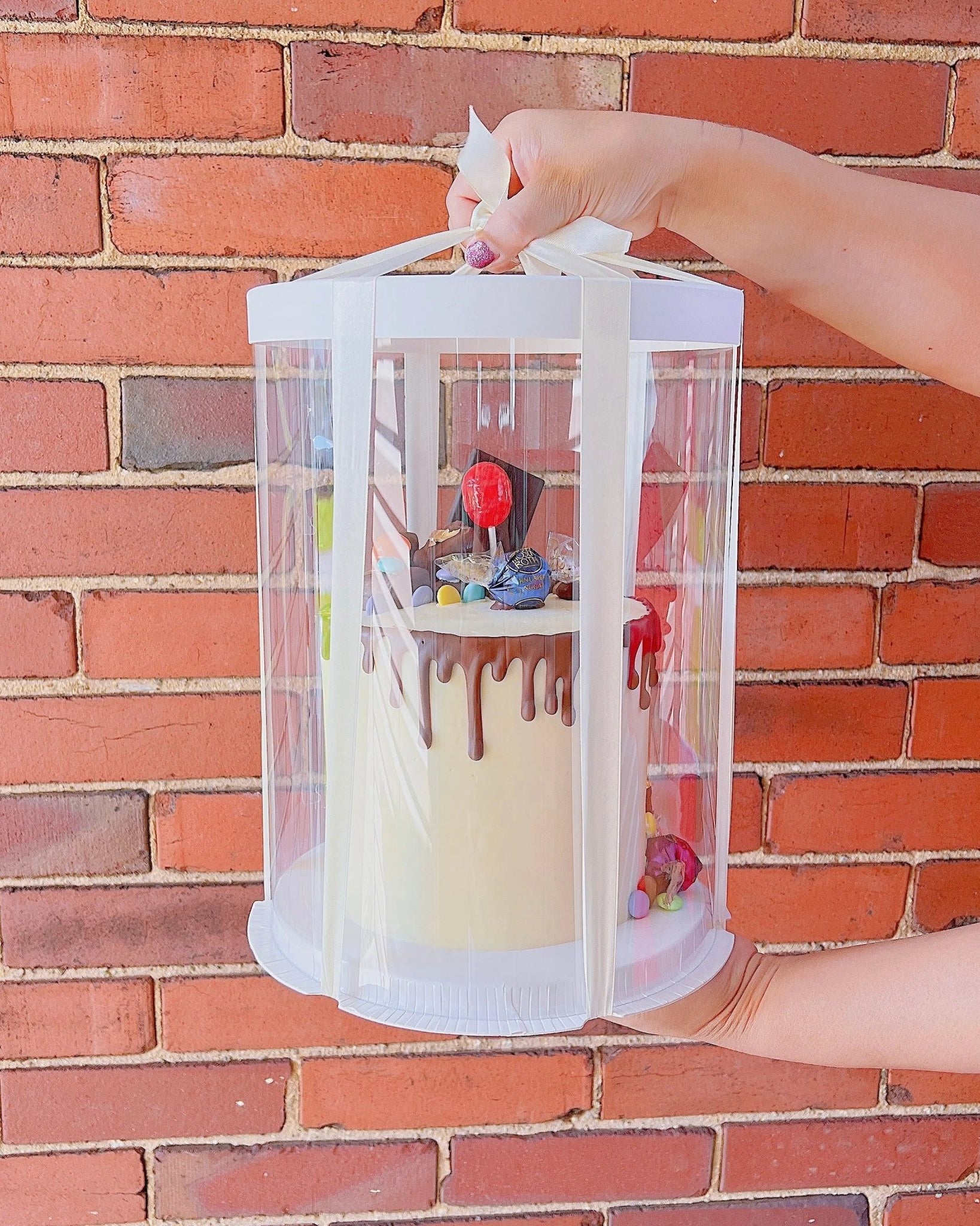 Tall Clear Cake Box 8.5" D x 11.75" H - Transparent Cake Boxes with Window - RW851175Sweet Degrees Kitchen