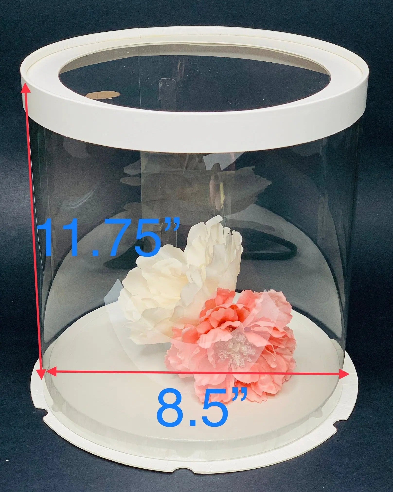 Tall Clear Cake Box 8.5" D x 11.75" H - Transparent Cake Boxes with Window - RW851175Sweet Degrees Kitchen