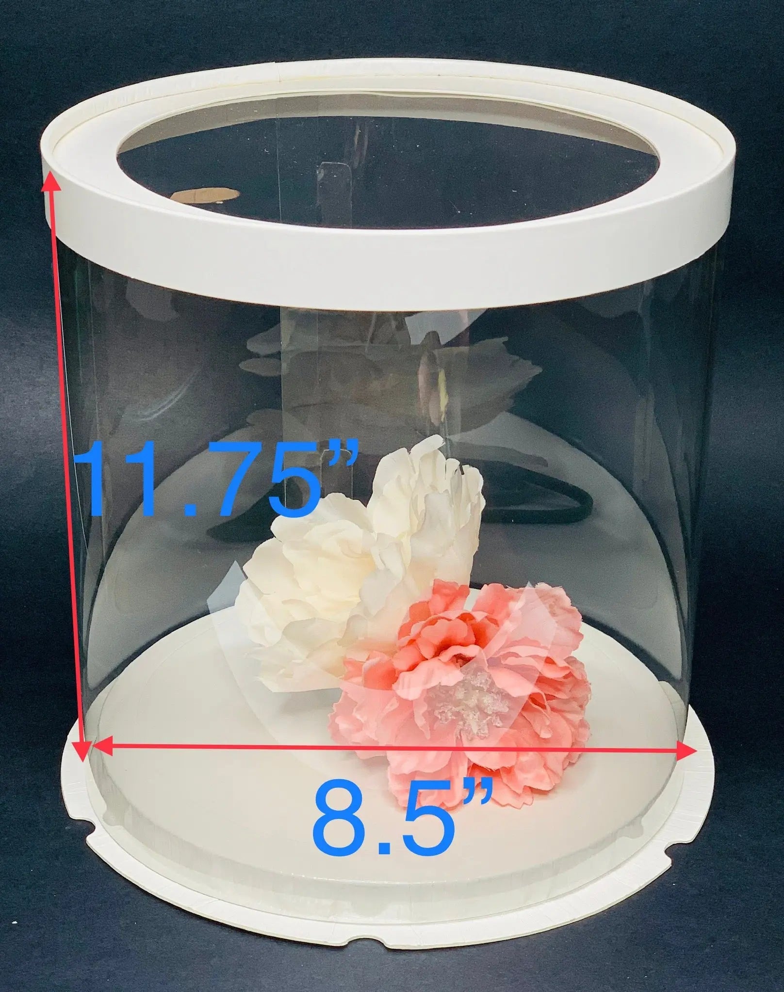 Tall Clear Cake Box 8.5" D x 11.75" H - Transparent Cake Boxes with Window - RW851175Sweet Degrees Kitchen