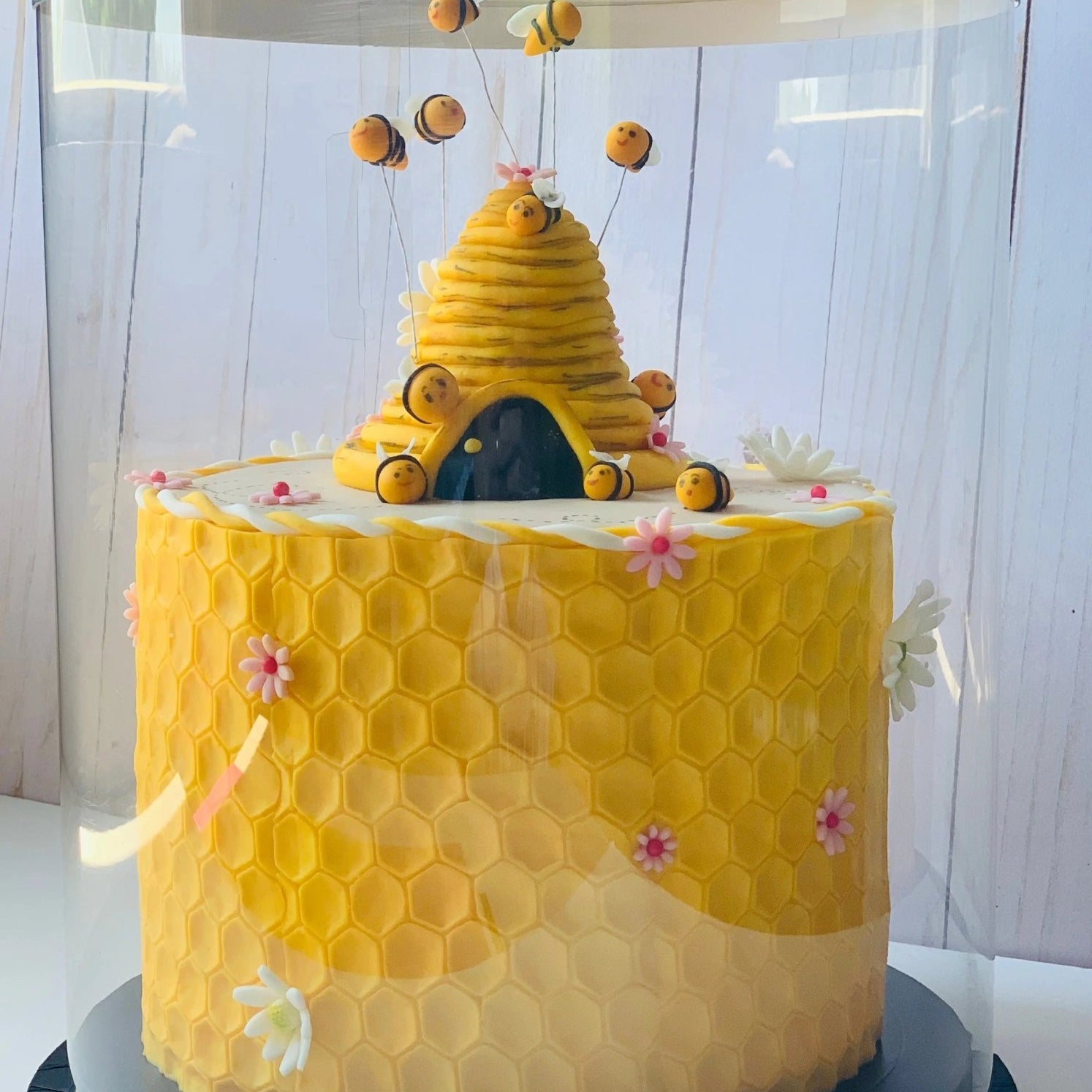 Tall Clear Round Cake Box - 10" D by 12.5" H - Clear Cake Boxes With Window - RB10125 Round cake box