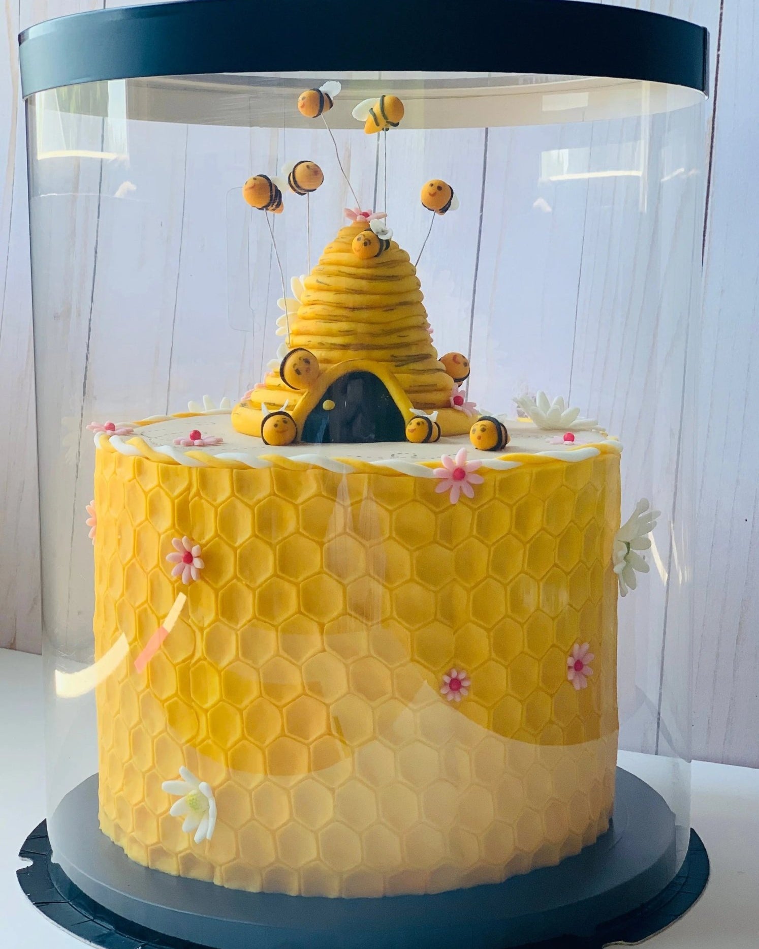 Tall Clear Round Cake Box - 10" D by 12.5" H - Clear Cake Boxes With Window - RB10125Sweet Degrees Kitchen