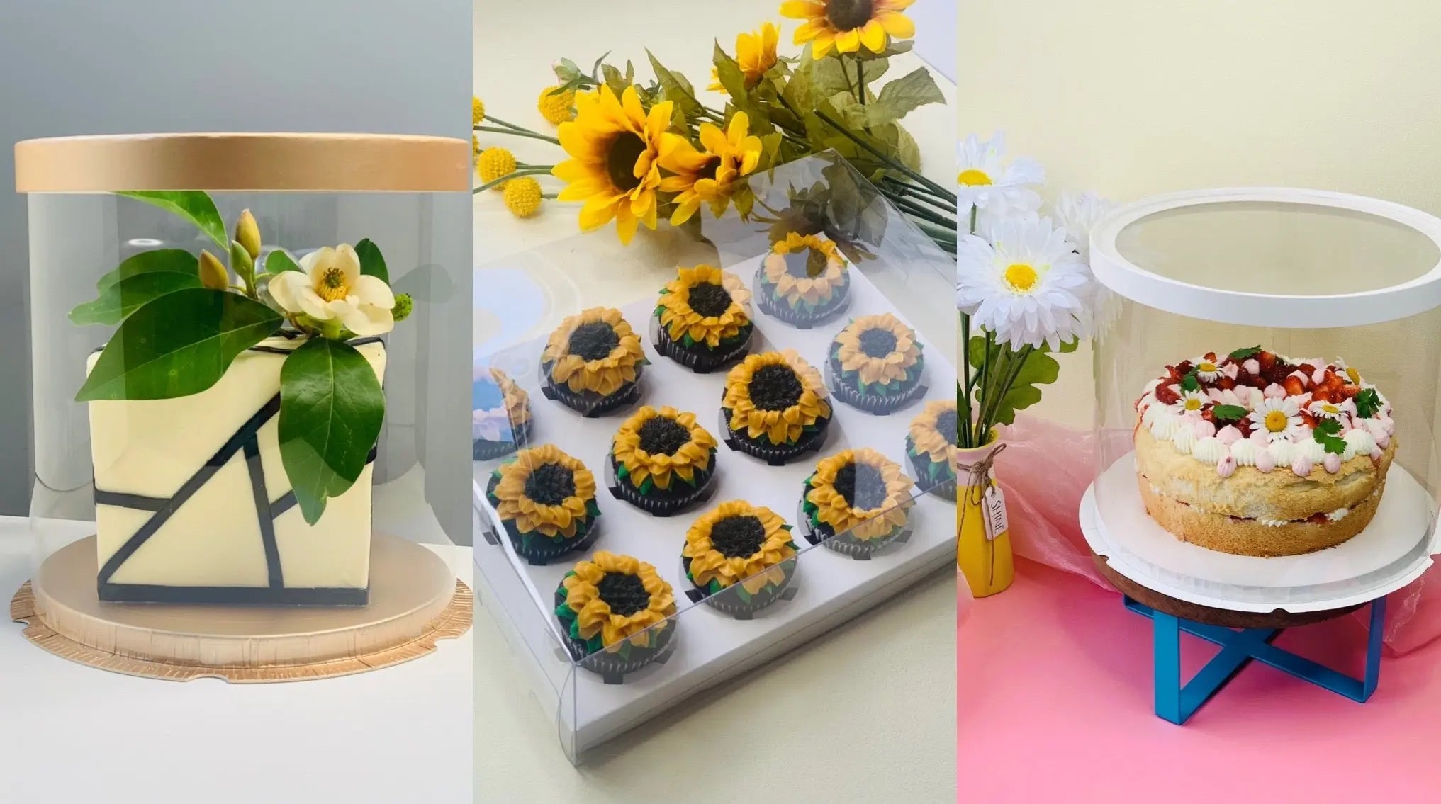 Transparent Cake Containers - Sweet Degrees Kitchen