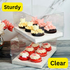 Clear Cupcake & Muffin boxes with 6 holes