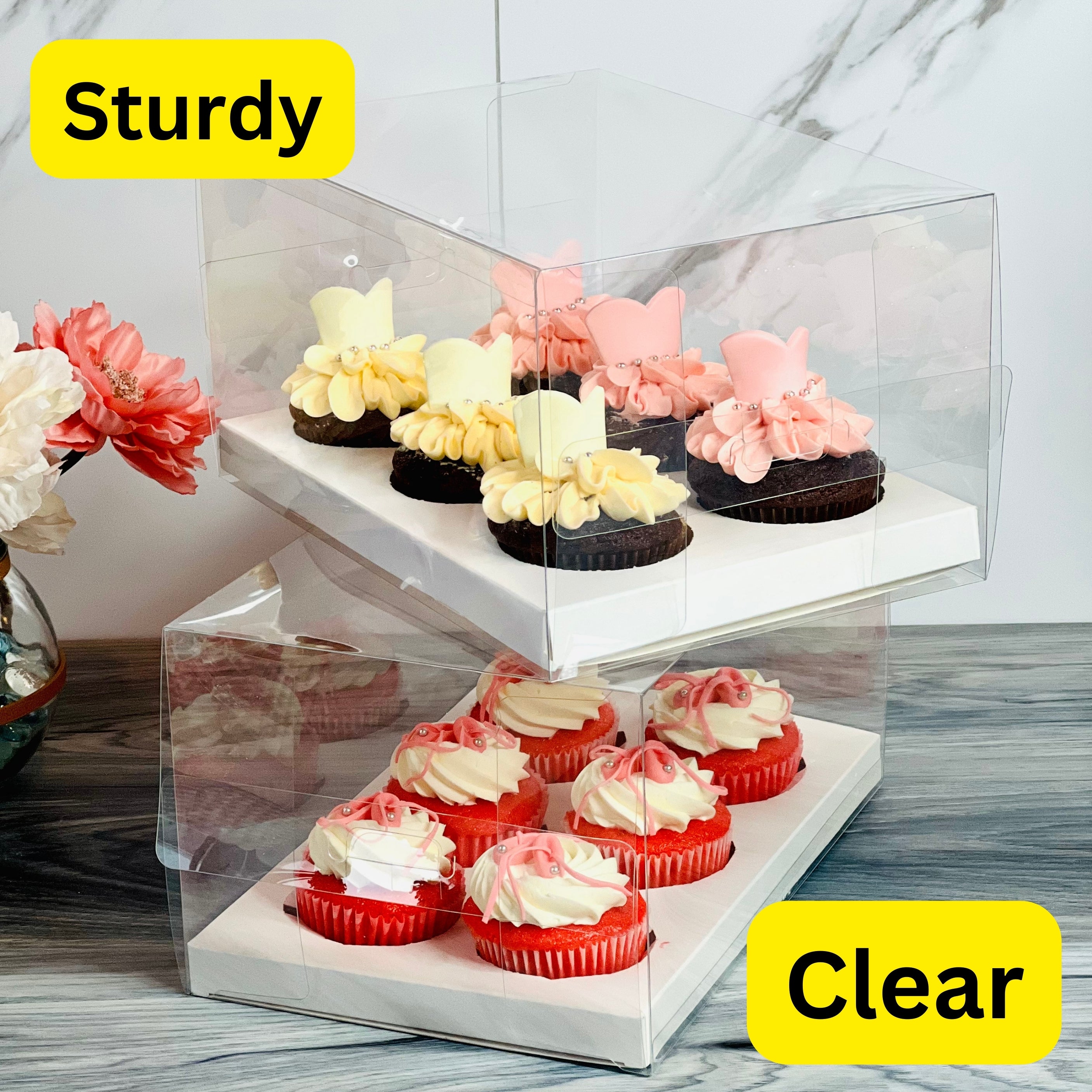 Clear Cupcake & Muffin boxes with 6 holes