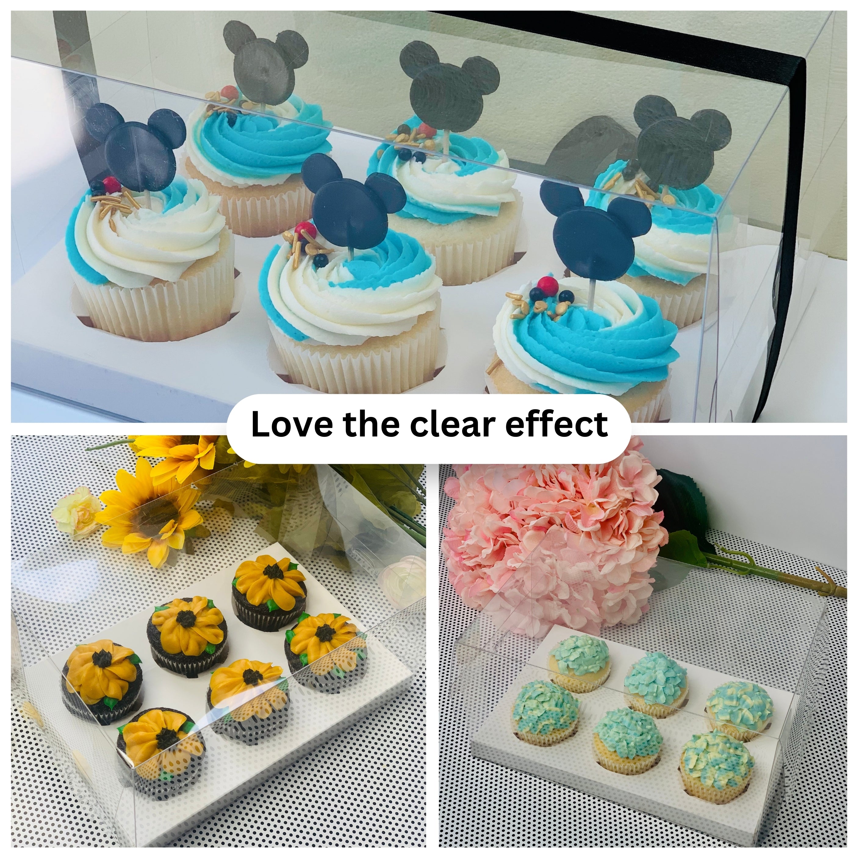 Clear Cupcake & Muffin boxes with 6 holes