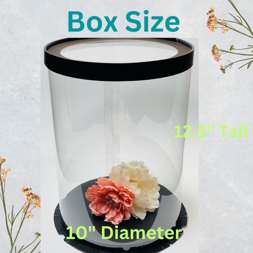 tall clear cake boxes 