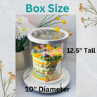 White tall clear cake boxes 