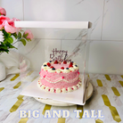 12 inch clear cake box