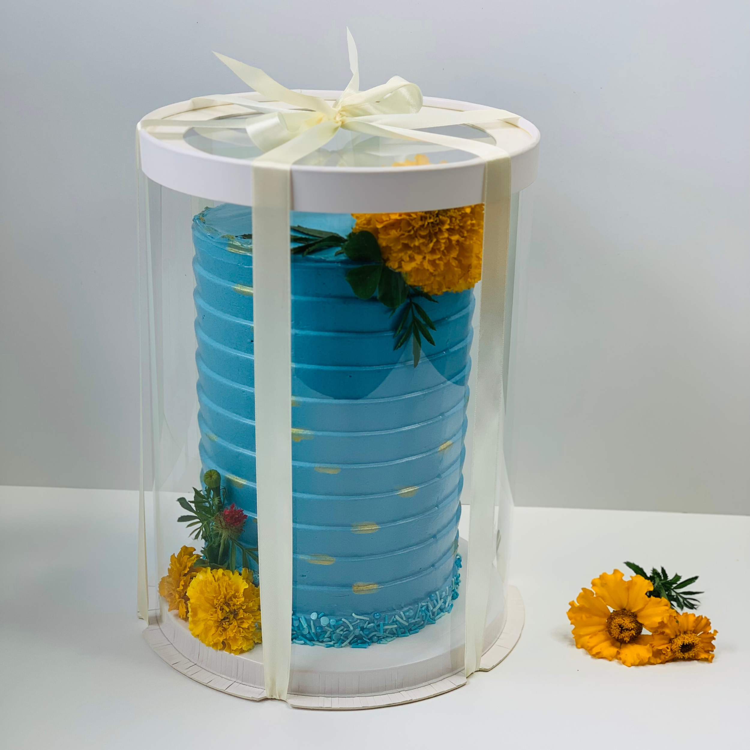 Tall clear cake boxes