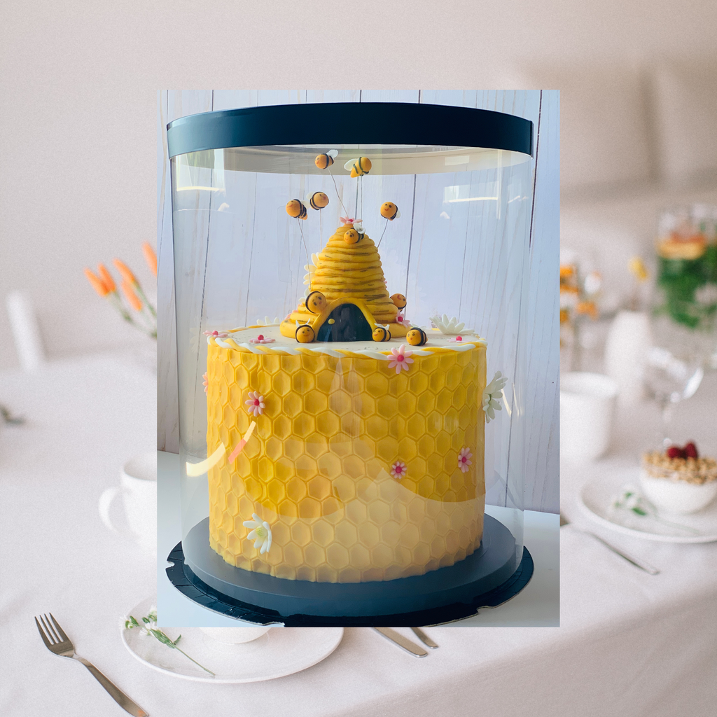 tall clear cake boxes 