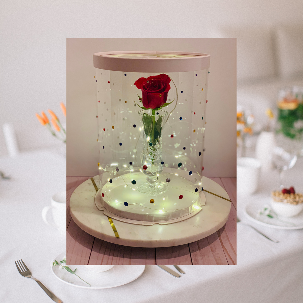 White tall clear cake boxes 