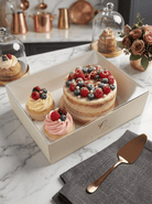 Clear Bento Cake Box 1 + 2 Cupcake Combo - variant_product_type