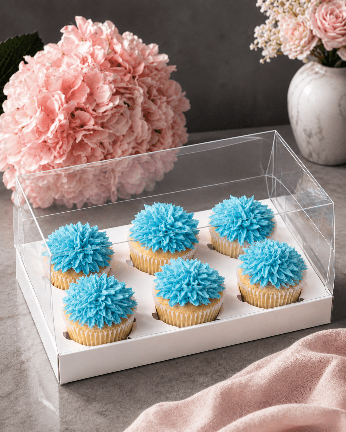 Clear Cupcake Boxes for 6 Cupcakes - variant_product_type