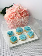 Clear Cupcake Boxes for 6 Cupcakes - variant_product_type
