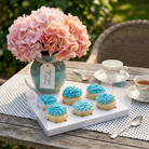 Clear Cupcake Boxes for 6 Cupcakes - variant_product_type