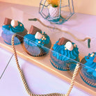 Clear Cupcake & Muffin Boxes with 4 Holes - Sweet Degrees Kitchen