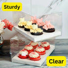 Clear Cupcake & Muffin boxes with 6 holes - Cupcake6 Cupcake boxes