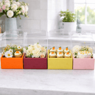 Clear Flower Bento Cake Box with Handle - variant_product_type