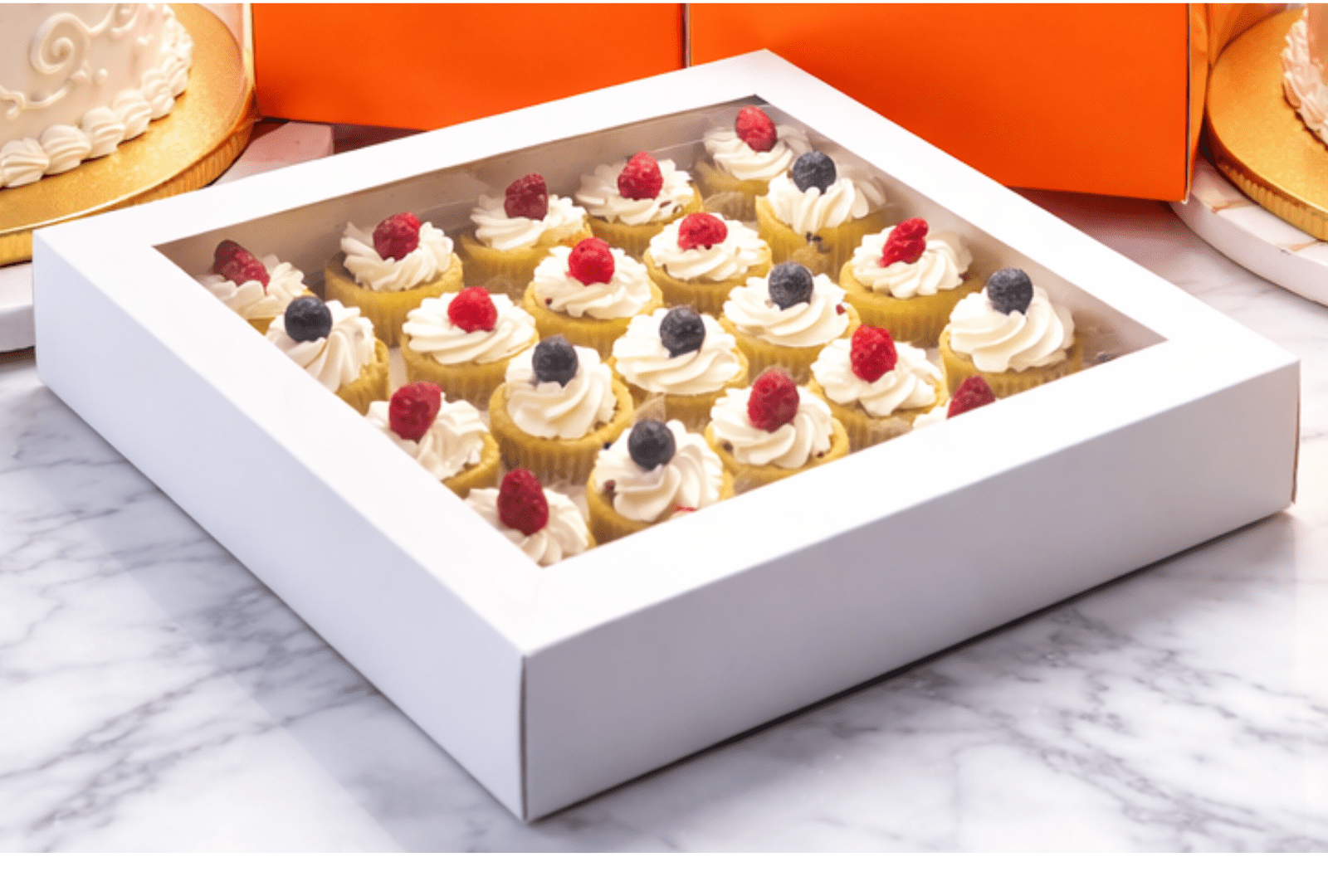 Clear Mini Cupcake Boxes with Inserts 12 or 24 Count - variant_product_type