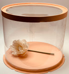 Tall Round Clear Cake Box with Window - 10 Inch Diameter x 12.5 Tall - variant_product_type