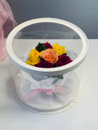 Large Round Clear Cake Box 12" x 10" - variant_product_type