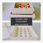 Mini Cupcake Boxes with 12 Holes Inserts - Cupcake Cone Box - 12minisSweet Degrees Kitchen