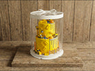 Tall Clear Cake Box 8.5" D x 11.75" H - Transparent Cake Boxes with Window - RW851175 Round cake box
