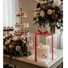 Tall Clear Square Cake Box 13 x 13 x 14 for Tiered Cakes - variant_product_type